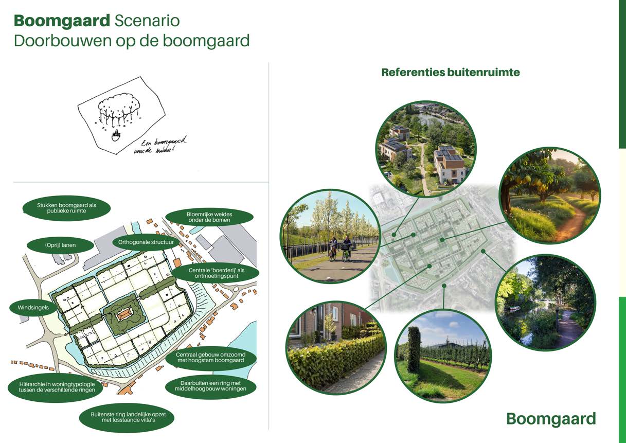 Boomgaard WP Participatie 3